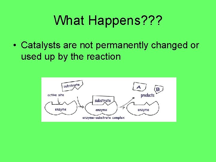What Happens? ? ? • Catalysts are not permanently changed or used up by