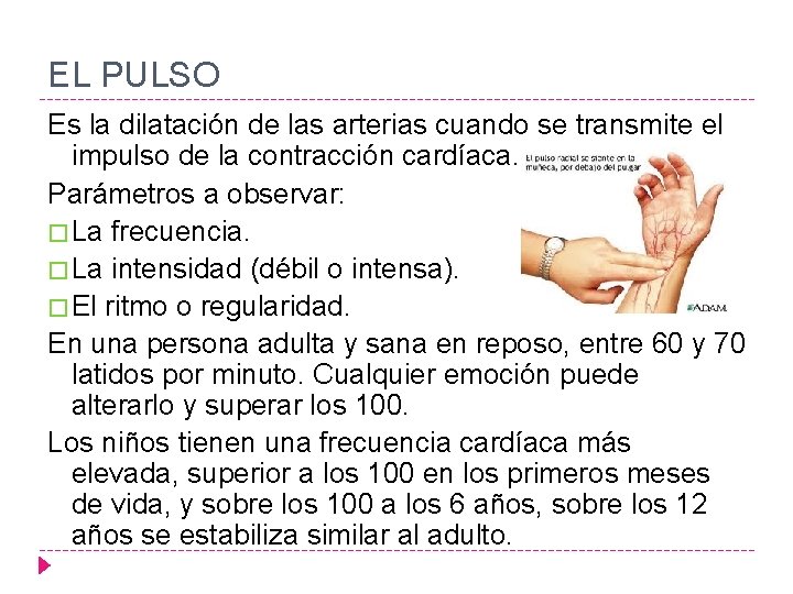 EL PULSO Es la dilatación de las arterias cuando se transmite el impulso de