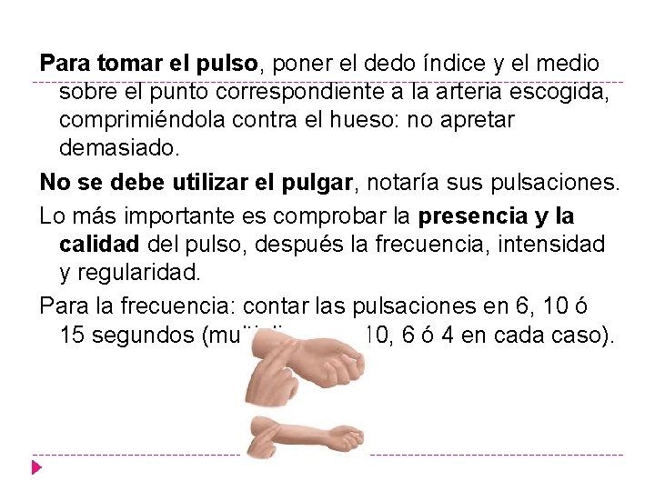 Para tomar el pulso, poner el dedo índice y el medio sobre el punto