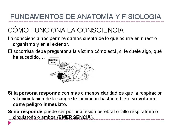 FUNDAMENTOS DE ANATOMÍA Y FISIOLOGÍA CÓMO FUNCIONA LA CONSCIENCIA La consciencia nos permite darnos