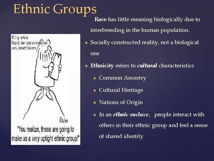 Ethnic Groups Race has little meaning biologically due to interbreeding in the human population.