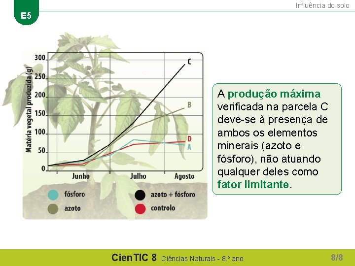 Influência do solo E 5 A produção máxima verificada na parcela C deve-se à