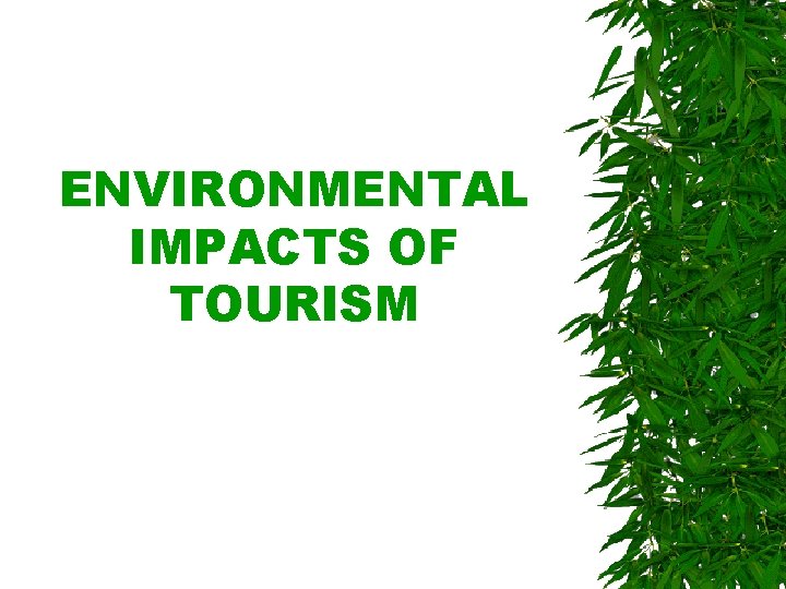 ENVIRONMENTAL IMPACTS OF TOURISM 