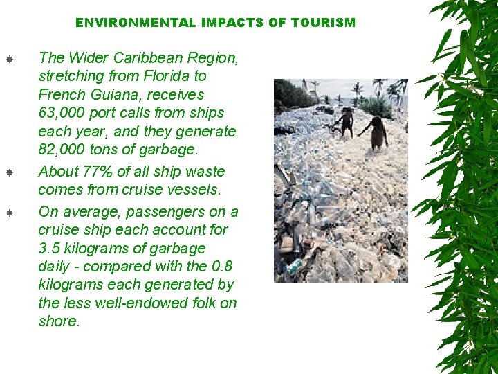 ENVIRONMENTAL IMPACTS OF TOURISM The Wider Caribbean Region, stretching from Florida to French Guiana,
