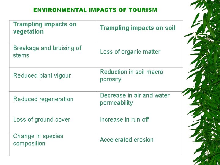 ENVIRONMENTAL IMPACTS OF TOURISM Trampling impacts on vegetation Trampling impacts on soil Breakage and