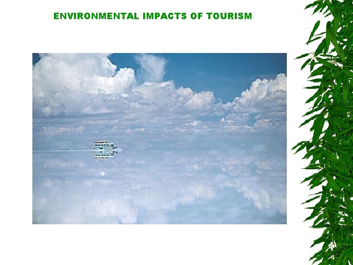 ENVIRONMENTAL IMPACTS OF TOURISM 