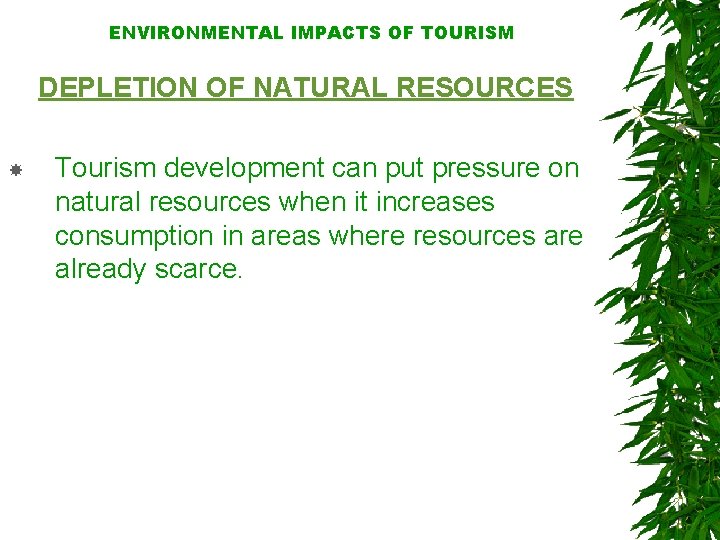 ENVIRONMENTAL IMPACTS OF TOURISM DEPLETION OF NATURAL RESOURCES Tourism development can put pressure on