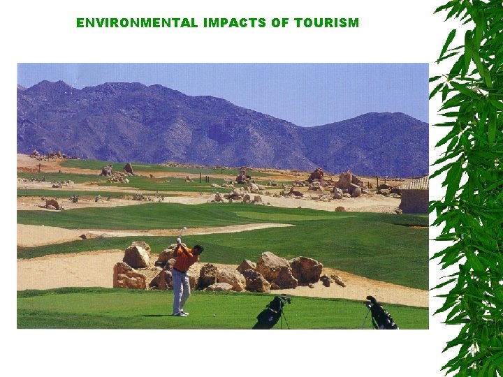 ENVIRONMENTAL IMPACTS OF TOURISM 
