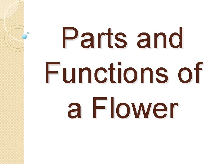 Parts and Functions of a Flower 