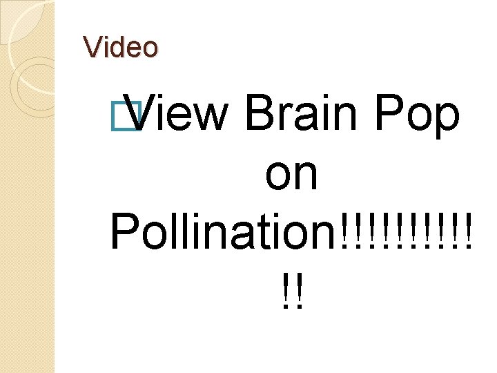Video � View Brain Pop on Pollination!!!!! !! 