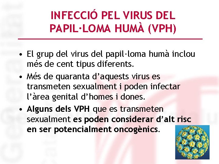 INFECCIÓ PEL VIRUS DEL PAPIL·LOMA HUMÀ (VPH) • El grup del virus del papil·loma