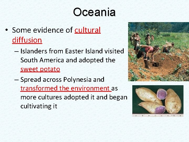 Oceania • Some evidence of cultural diffusion – Islanders from Easter Island visited South