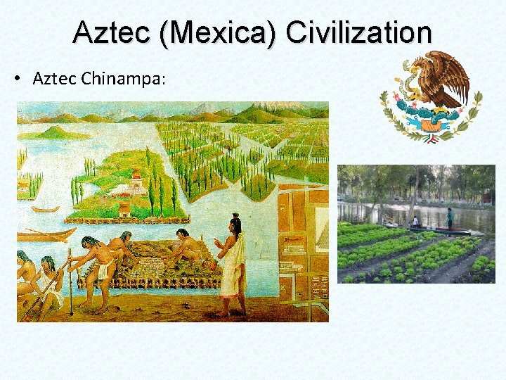 Aztec (Mexica) Civilization • Aztec Chinampa: 