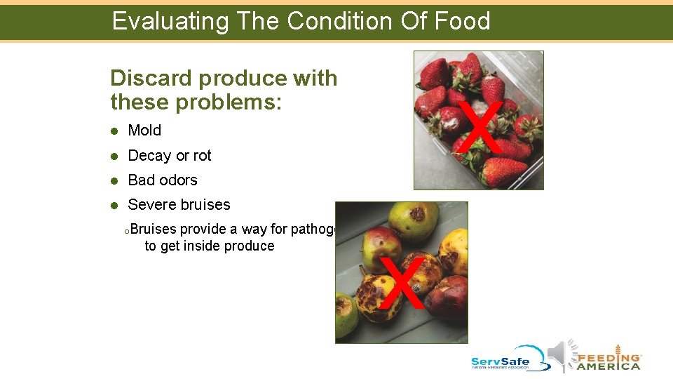 Evaluating The Condition Of Food x Discard produce with these problems: l Mold l