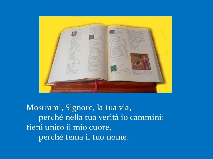 Mostrami, Signore, la tua via, perché nella tua verità io cammini; tieni unito il