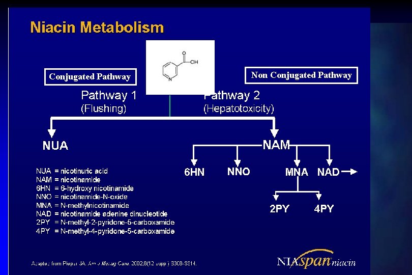 Conjugated Pathway Non Conjugated Pathway 
