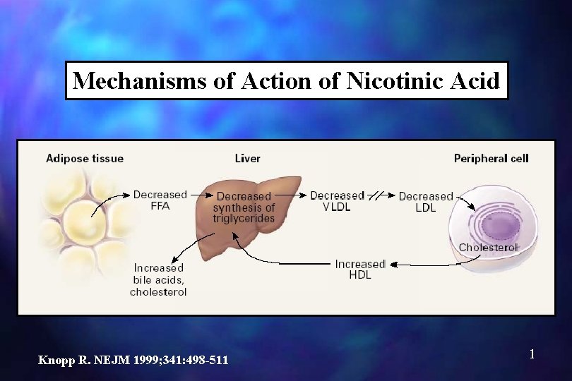 Mechanisms of Action of Nicotinic Acid Knopp R. NEJM 1999; 341: 498 -511 