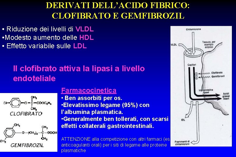 DERIVATI DELL’ACIDO FIBRICO: CLOFIBRATO E GEMFIBROZIL • Riduzione dei livelli di VLDL • Modesto