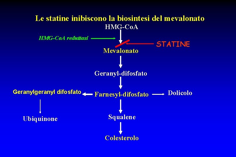 Le statine inibiscono la biosintesi del mevalonato HMG-Co. A reduttasi Mevalonato STATINE Geranyl-difosfato Geranylgeranyl