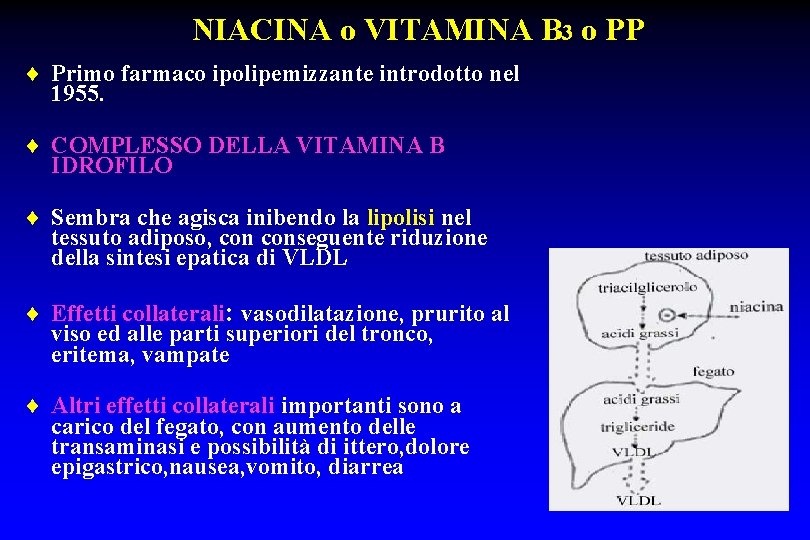 NIACINA o VITAMINA B 3 o PP ¨ Primo farmaco ipolipemizzante introdotto nel 1955.