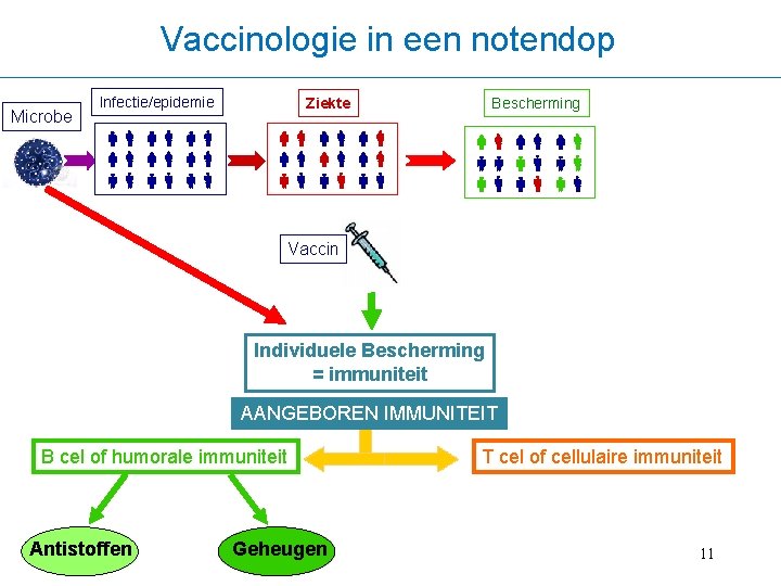 Vaccinologie in een notendop Microbe Infectie/epidemie Ziekte Bescherming Vaccin Individuele Bescherming = immuniteit AANGEBOREN