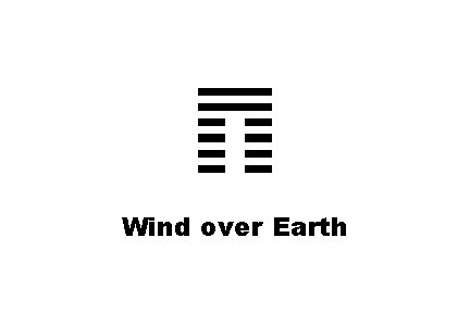 ䷓ Wind over Earth 