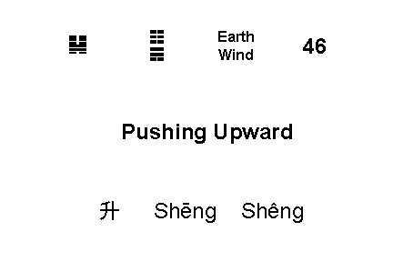 ☷ ☴ ䷭ Earth Wind 46 Pushing Upward 升 Shēng Shêng 