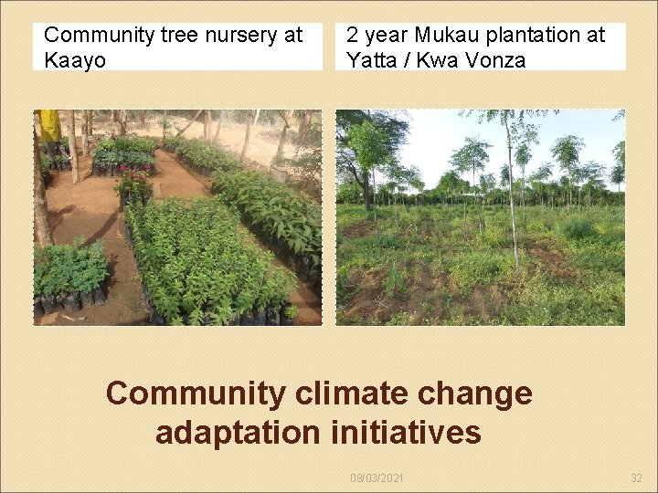 Community tree nursery at Kaayo 2 year Mukau plantation at Yatta / Kwa Vonza