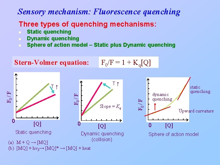 Sensory mechanism: Fluorescence quenching Three types of quenching mechanisms: n n Static quenching Dynamic