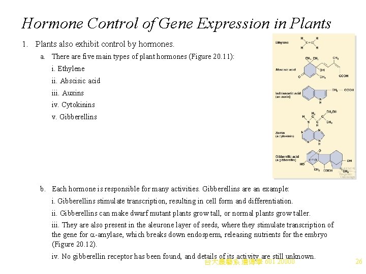 Hormone Control of Gene Expression in Plants 1. Plants also exhibit control by hormones.