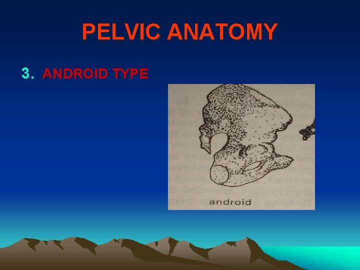 PELVIC ANATOMY 3. ANDROID TYPE 