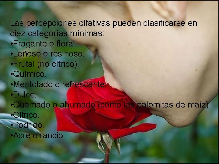Las percepciones olfativas pueden clasificarse en diez categorías mínimas: • Fragante o floral. •