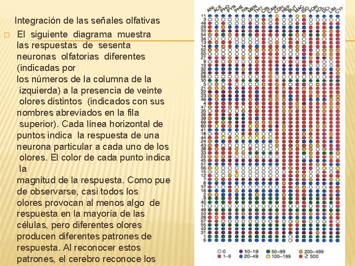 � Integración de las señales olfativas El siguiente diagrama muestra las respuestas de sesenta