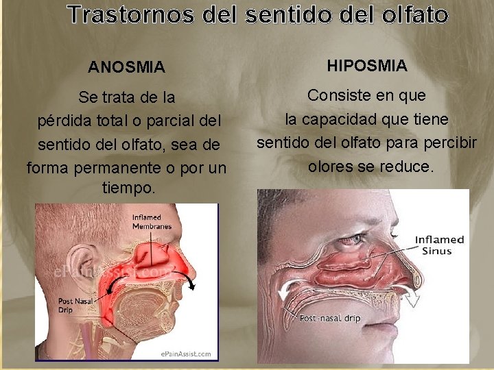 Trastornos del sentido del olfato ANOSMIA HIPOSMIA Se trata de la pérdida total o