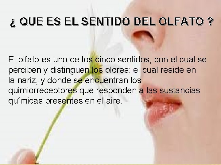 ¿ QUE ES EL SENTIDO DEL OLFATO ? El olfato es uno de los