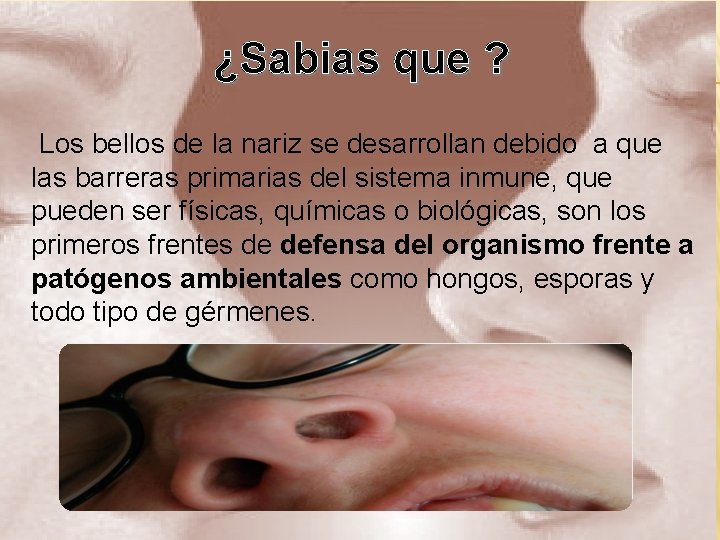 ¿Sabias que ? Los bellos de la nariz se desarrollan debido a que las