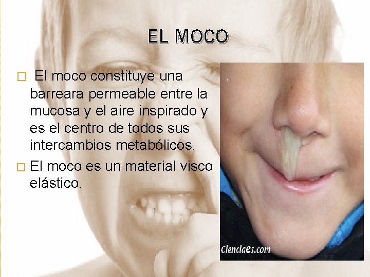 Anlisis sensorial Instructora Natalia Cucaita EL SENTIDO DEL