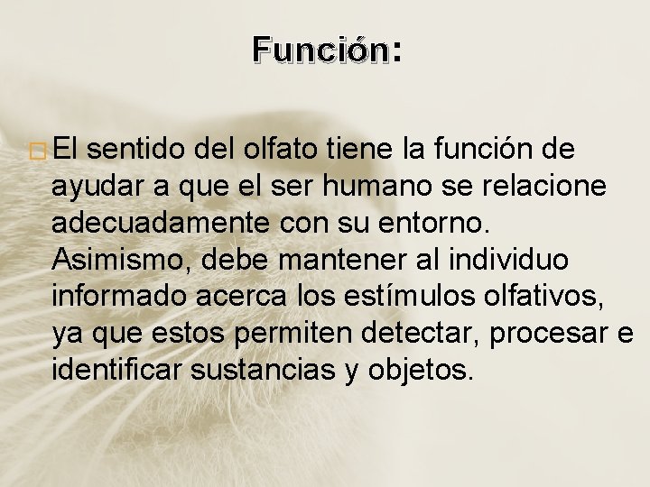 Función: Función � El sentido del olfato tiene la función de ayudar a que