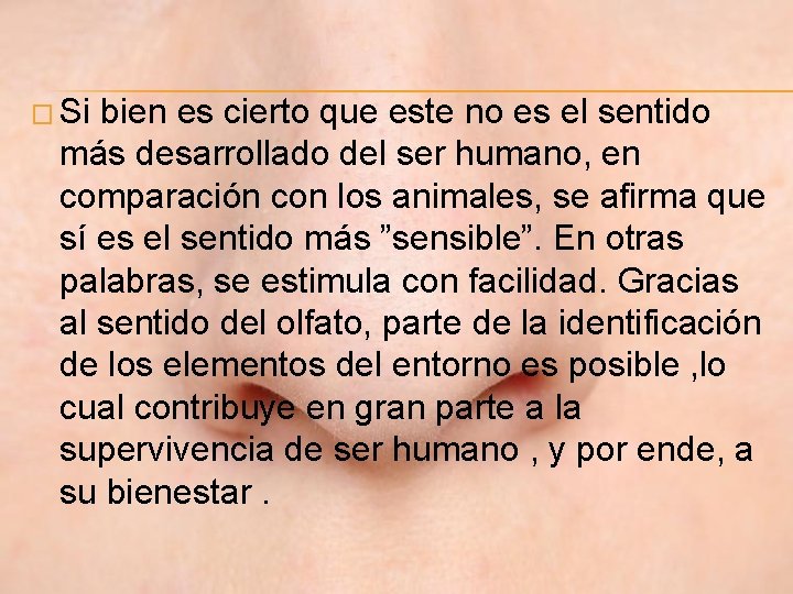 � Si bien es cierto que este no es el sentido más desarrollado del