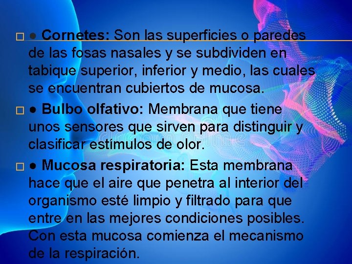� ● Cornetes: Son las superficies o paredes de las fosas nasales y se