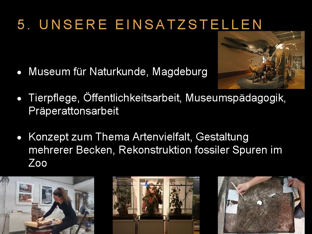 5. UNSERE EINSATZSTELLEN Museum für Naturkunde, Magdeburg Tierpflege, Öffentlichkeitsarbeit, Museumspädagogik, Präperattonsarbeit Konzept zum Thema