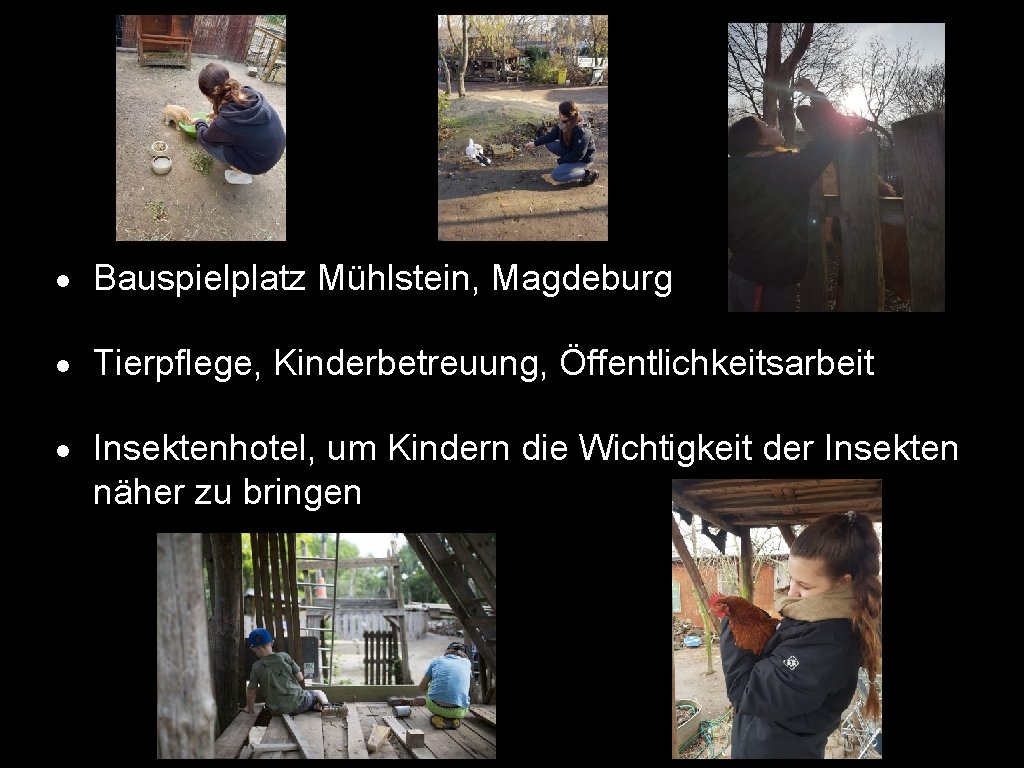  Bauspielplatz Mühlstein, Magdeburg Tierpflege, Kinderbetreuung, Öffentlichkeitsarbeit Insektenhotel, um Kindern die Wichtigkeit der Insekten
