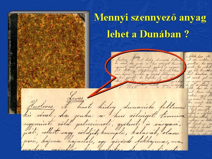 Mennyi szennyező anyag lehet a Dunában ? 