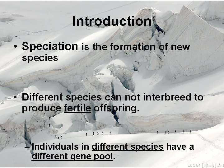 Introduction • Speciation is the formation of new species • Different species can not