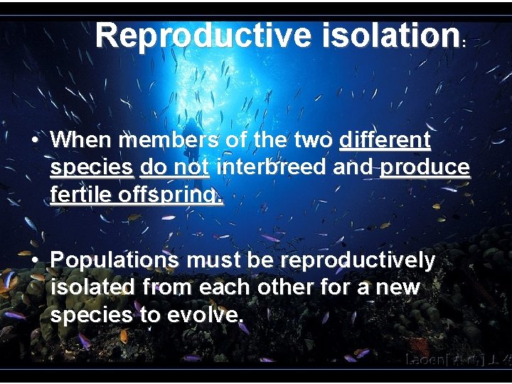Reproductive isolation : • When members of the two different species do not interbreed