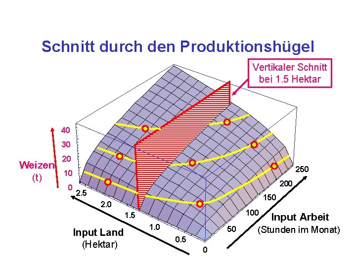 Schnitt durch den Produktionshügel Vertikaler Schnitt bei 1. 5 Hektar 40 30 20 Weizen
