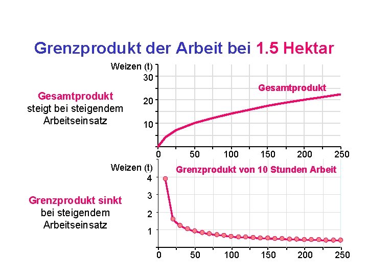 Grenzprodukt der Arbeit bei 1. 5 Hektar Weizen (t) 30 Gesamtprodukt steigt bei steigendem