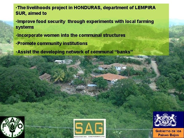  • The livelihoods project in HONDURAS, department of LEMPIRA SUR, aimed to •