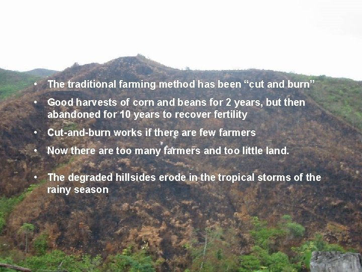  • The traditional farming method has been “cut and burn” • Good harvests