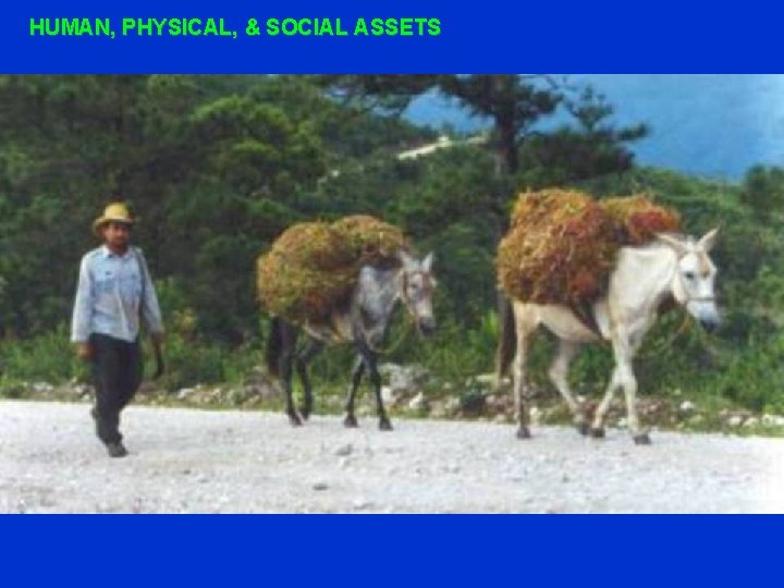 HUMAN, PHYSICAL, & SOCIAL ASSETS 